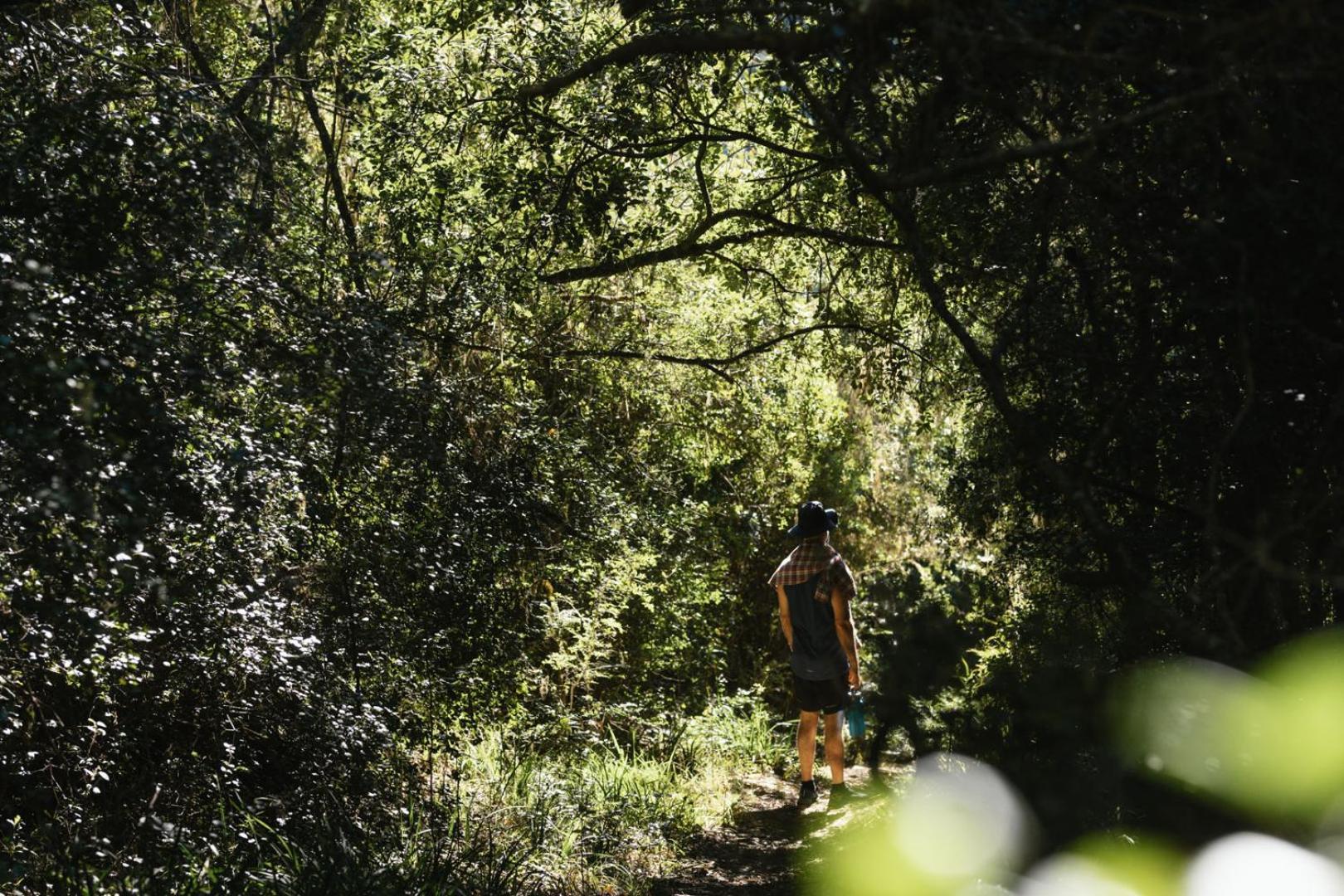 Moonshine On Whiskey Creek Βίλα The Crags Εξωτερικό φωτογραφία