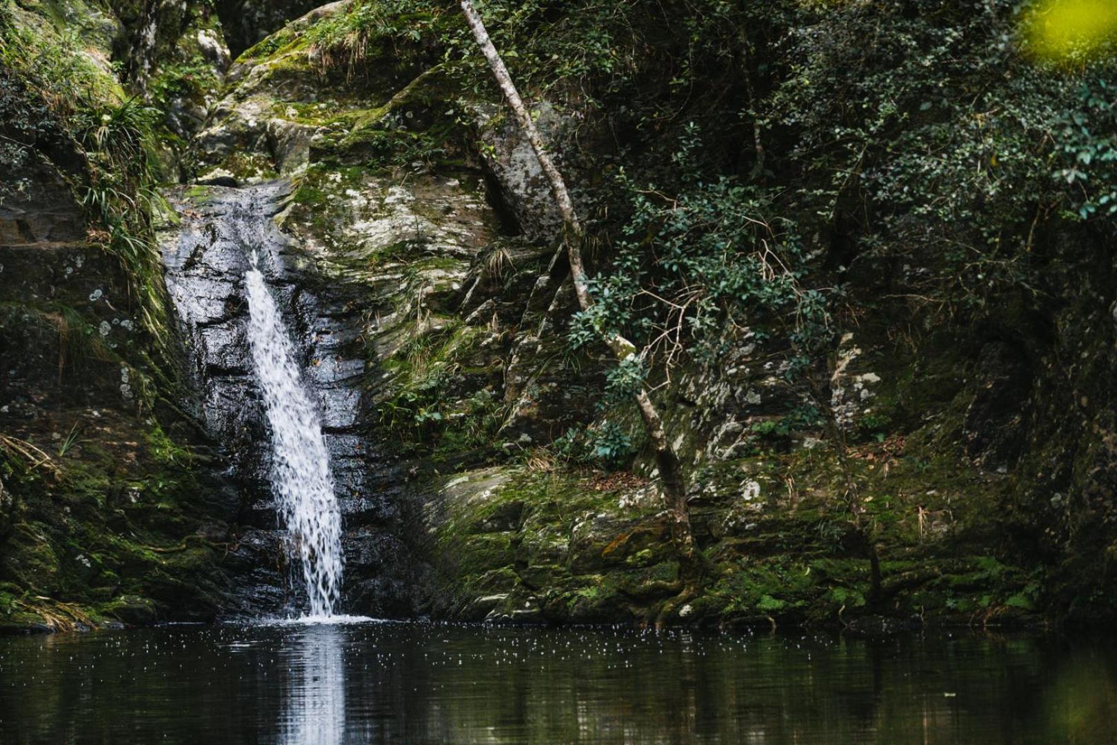 Moonshine On Whiskey Creek Βίλα The Crags Εξωτερικό φωτογραφία