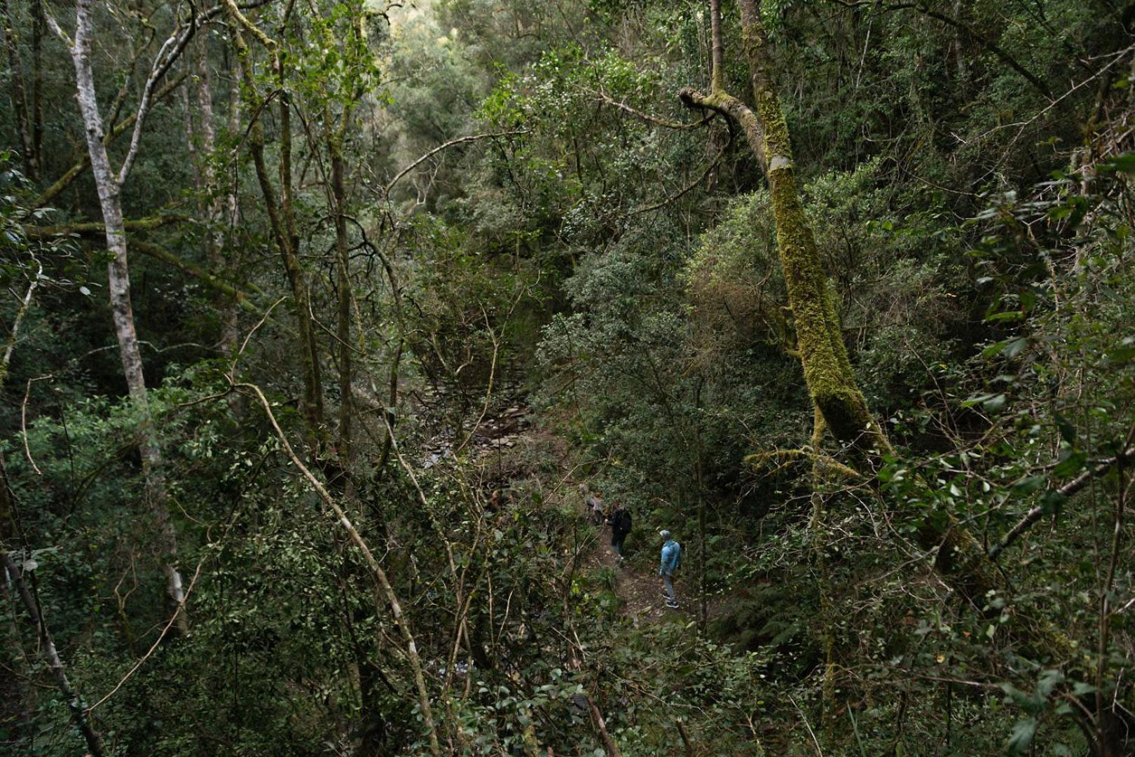 Moonshine On Whiskey Creek Βίλα The Crags Εξωτερικό φωτογραφία